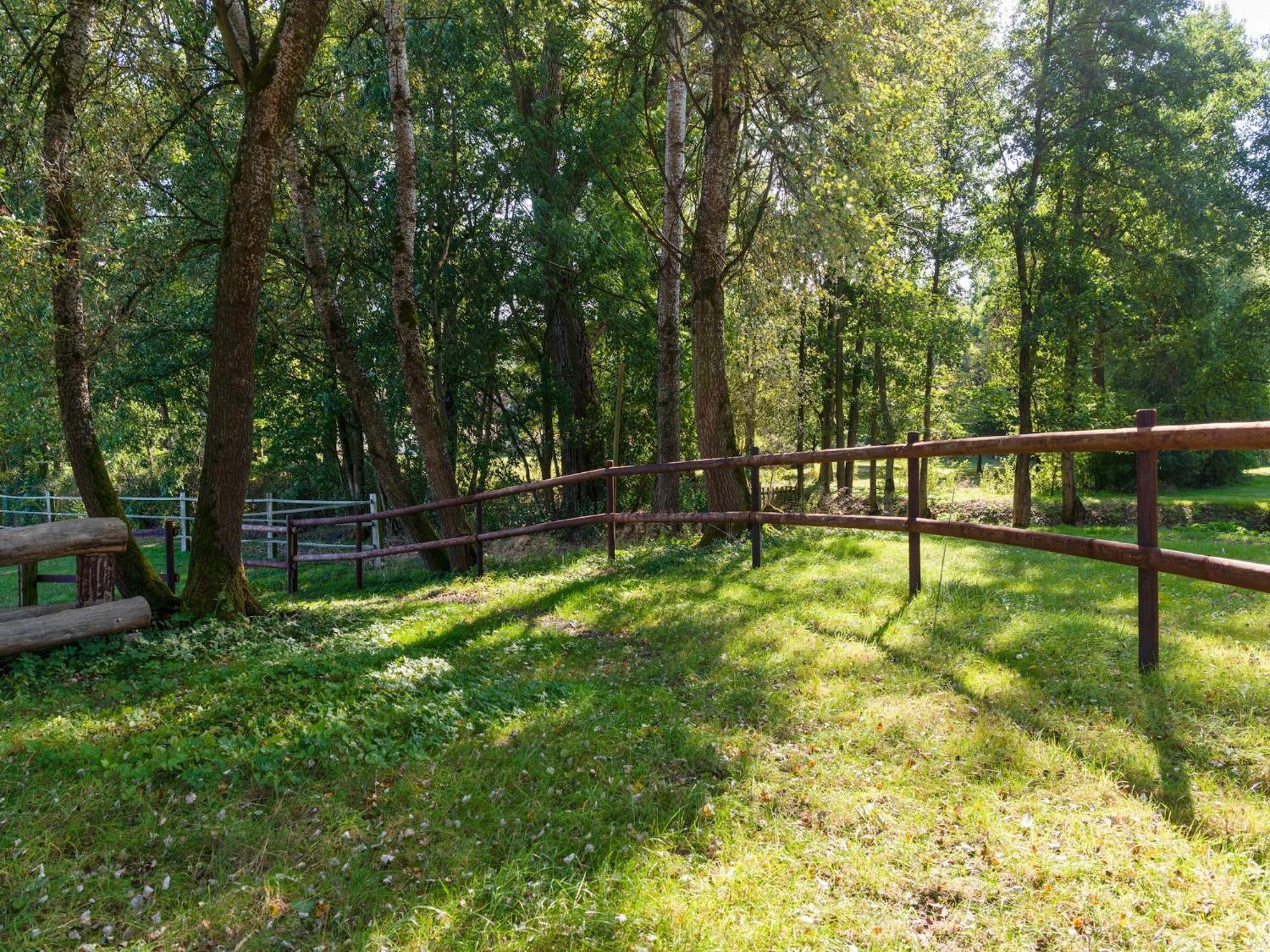 Holiday Home On A Horse Farm In The L Neburg Heath Eschede Экстерьер фото